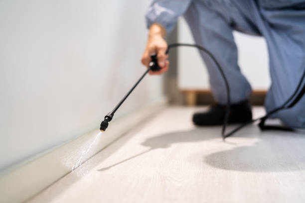 Bed Bug Pre-Treatment Preparation Assessment in Laurel