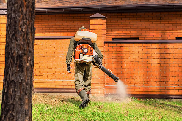 Bed Bug Clearance Verification and Documentation in Laurel
